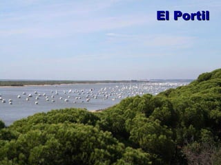El Portil 