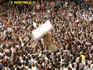 En este entorno se celebra cada año la romería mas importante de este planeta… La romería del Rocio Lo siento pero no se puede explicar, hay que verlo … . . . vivirlo . . . Y SENTIRLO !!! 