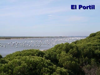 El Portil 