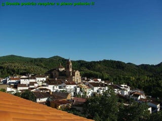 ¡¡ Donde podrás respirar a pleno pulmón !! 