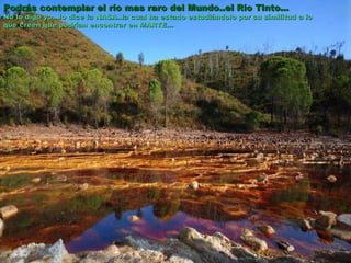 Podrás contemplar el río mas raro del Mundo..el Río Tinto…  No lo digo yo…lo dice la NASA..la cual ha estado estudiándolo por su similitud a lo que creen que podrían encontrar en MARTE… 