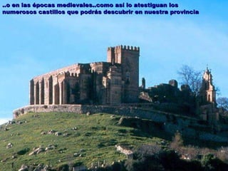..o en las épocas medievales..como así lo atestiguan los numerosos castillos que podrás descubrir en nuestra provincia 