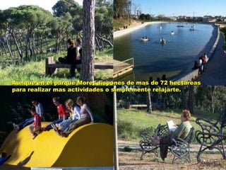 Aunque en el parque Moret dispones de mas de 72 hectáreas para realizar mas actividades o simplemente relajarte. 