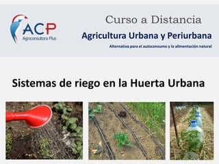 Curso a Distancia
Agricultura Urbana y Periurbana
Alternativa para el autoconsumo y la alimentación natural
Sistemas de riego en la Huerta Urbana
 