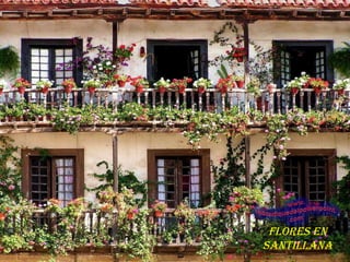 FLORES EN SANTILLANA