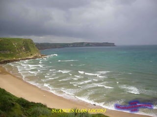 SUANCES (LOS LOCOS)
