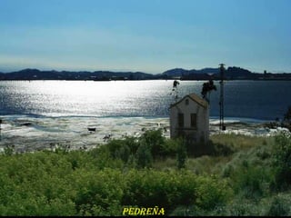 PEDREÑA
