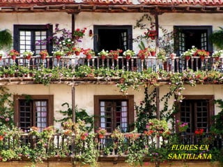 FLORES EN SANTILLANA 