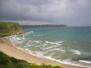 SUANCES (LOS LOCOS)