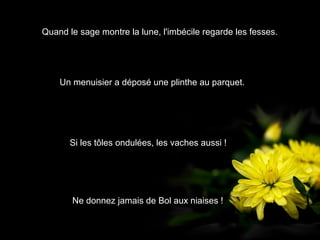 Quand le sage montre la lune, l'imbécile regarde les fesses.
Ne donnez jamais de Bol aux niaises !
Un menuisier a déposé une plinthe au parquet.
Si les tôles ondulées, les vaches aussi !
 