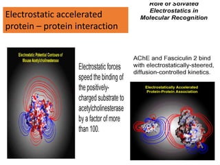 Electrostatic accelerated
protein – protein interaction
 