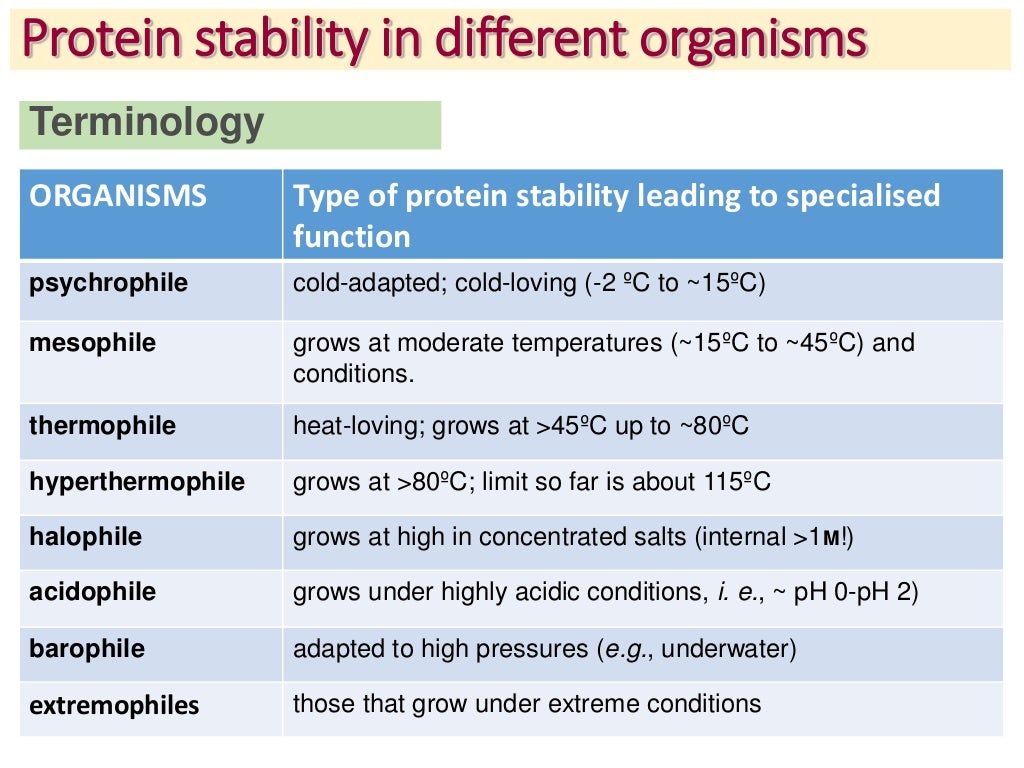 protein stability
