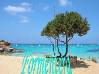 Formentera 