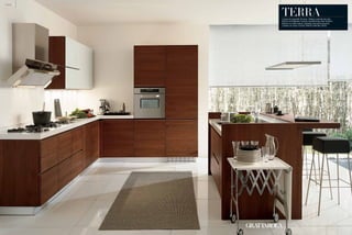 Aura Flamma Terra Aqua