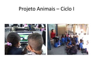 Projeto Animais – Ciclo I
 