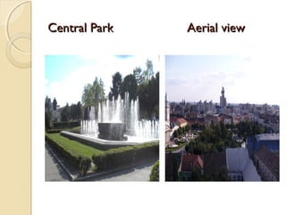 Central Park   Aerial view
 