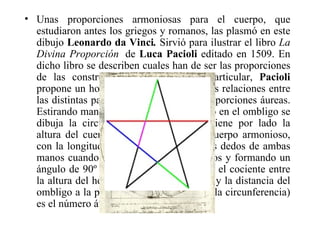 Unas proporciones armoniosas para el cuerpo, que estudiaron antes los griegos y romanos, las plasmó en este dibujo  Leonardo da Vinci .  Sirvió para ilustrar el libro  La   Divina Proporción   de  Luca Pacioli  editado en 1509. En dicho libro se describen cuales han de ser las proporciones de las construcciones artísticas. En particular,  Pacioli  propone un hombre perfecto en el que las relaciones entre las distintas partes de su cuerpo sean proporciones áureas. Estirando manos y pies y haciendo centro en el ombligo se dibuja la circunferencia. El cuadrado tiene por lado la altura del cuerpo que coincide, en un cuerpo armonioso, con la longitud entre los extremos de los dedos de ambas manos cuando los brazos están extendidos y formando un ángulo de 90º con el tronco. Resulta que el cociente entre la altura del hombre (lado del cuadrado) y la distancia del ombligo a la punta de la mano (radio de la circunferencia) es el número áureo. 