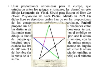 Unas proporciones armoniosas para el cuerpo, que estudiaron antes los griegos y romanos, las plasmó en este dibujo  Leonardo da Vinci .  Sirvió para ilustrar el libro  La   Divina Proporción   de  Luca Pacioli  editado en 1509. En dicho libro se describen cuales han de ser las proporciones de las construcciones artísticas. En particular,  Pacioli  propone un hombre perfecto en el que las relaciones entre las distintas partes de su cuerpo sean proporciones áureas. Estirando manos y pies y haciendo centro en el ombligo se dibuja la circunferencia. El cuadrado tiene por lado la altura del cuerpo que coincide, en un cuerpo armonioso, con la longitud entre los extremos de los dedos de ambas manos cuando los brazos están extendidos y formando un ángulo de 90º con el tronco. Resulta que el cociente entre la altura del hombre (lado del cuadrado) y la distancia del ombligo a la punta de la mano (radio de la circunferencia) es el número áureo. 
