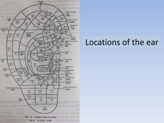 Locations of the ear
 