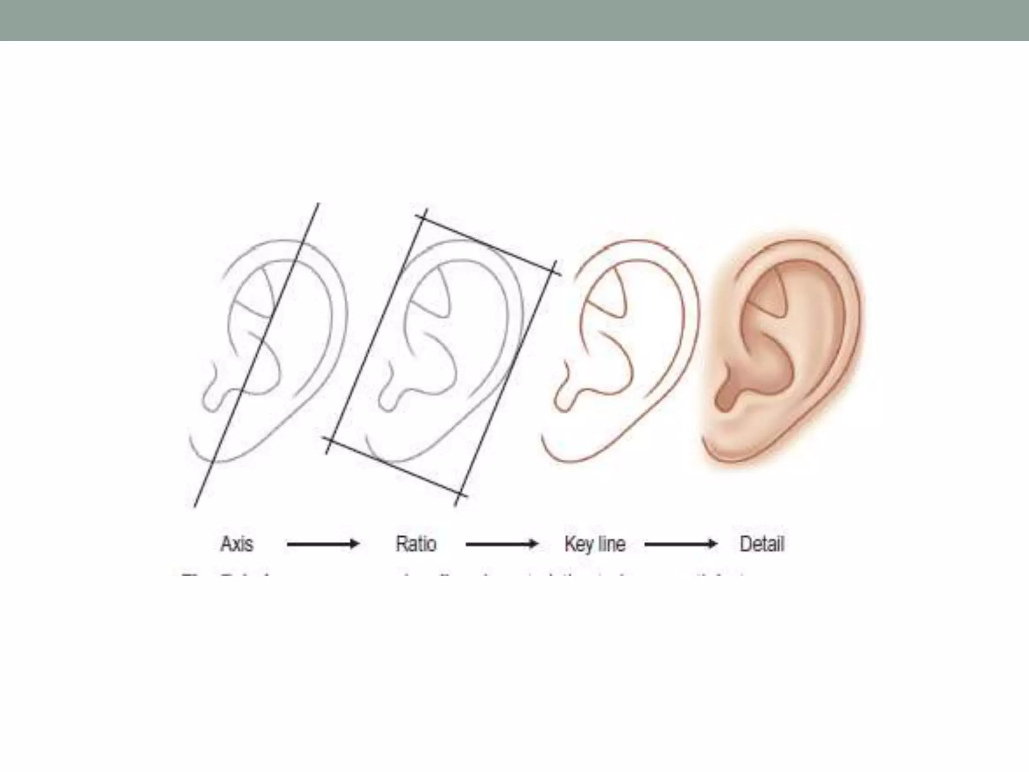AURICULAR Reconstruction 1.pptx