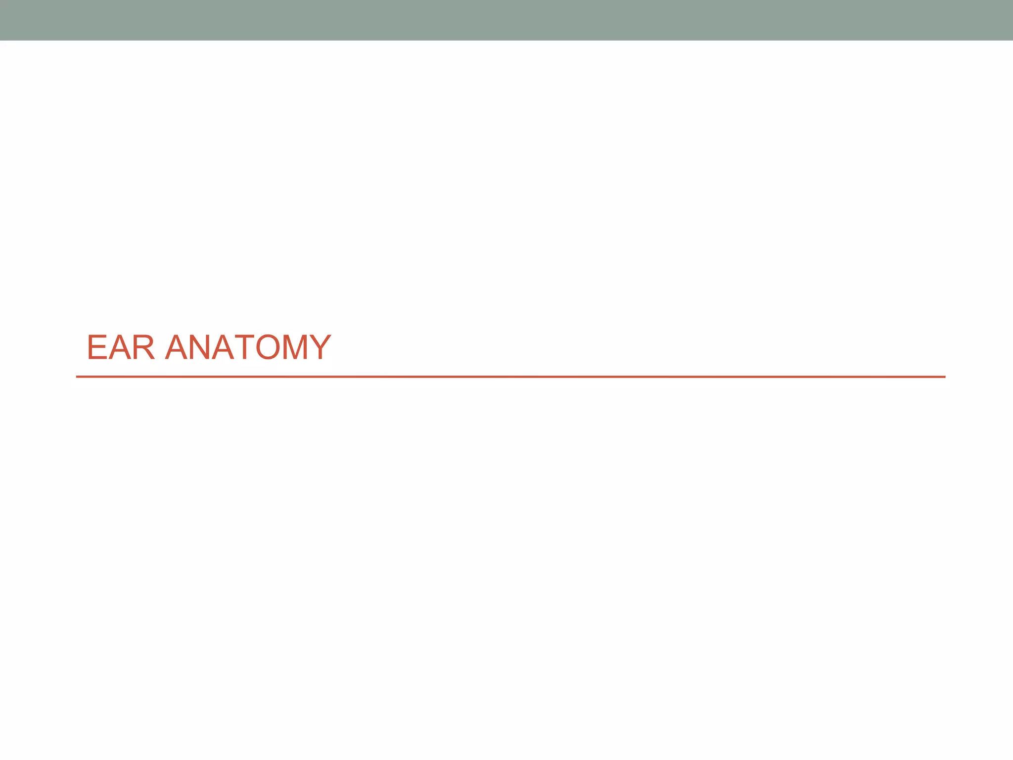 AURICULAR Reconstruction 1.pptx
