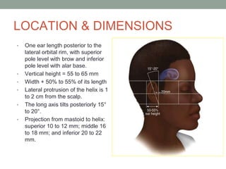 AURICULAR Reconstruction 1.pptx
