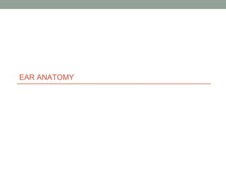 AURICULAR Reconstruction 1.pptx