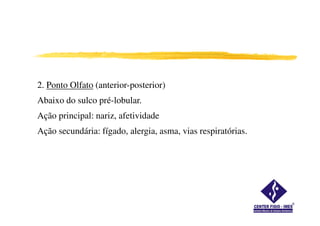 2. Ponto Olfato (anterior-posterior)
Abaixo do sulco pré-lobular.
Ação principal: nariz, afetividade
Ação secundária: fígado, alergia, asma, vias respiratórias.
 
