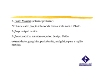 3. Ponto Maxilar (anterior-posterior)
No limite entre porção inferior da fossa escafa com o lóbulo.
Ação principal: dentes.
Ação secundária: membro superior, bexiga, libido,
extremidades, gengivite, periodontite, analgésico para a região
maxilar.
 
