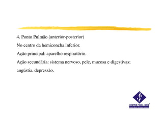 4. Ponto Pulmão (anterior-posterior)
No centro da hemiconcha inferior.
Ação principal: aparelho respiratório.
Ação secundária: sistema nervoso, pele, mucosa e digestivas;
angústia, depressão.
 