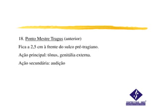 18. Ponto Mestre Tragus (anterior)
Fica a 2,5 cm à frente do sulco pré-tragiano.
Ação principal: tônus, genitália externa.
Ação secundária: audição
 