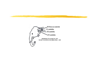 30 Trás no controle
           31 caminha
            32 caminha

             33 caminha

    REPRODUÇÃO (PARCIAL) DO
MUSEU NACIONAL DO SIRILANKA - 1995
 
