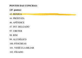 PONTOS DAS CONCHAS:
(25 pontos)
43. BEXIGA
44. PRÓSTATA
46. APÊNDICE
47. INT. DELGADO
97. URETER
98. RIM
99. ALCOÓLICO
100. PÂNCREAS
101. VESÍCULA BILIAR
102. FÍGADO
 