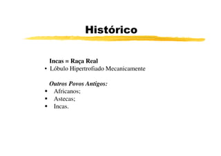 Histórico

  Incas = Raça Real
• Lóbulo Hipertrofiado Mecanicamente
7
  Outros Povos Antigos:
    Africanos;
    Astecas;
    Incas.
 