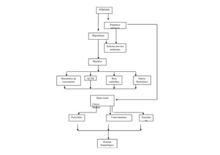 STRESSE




                                          Peptídeos
                                          opiáceos

                       Hipotálamo



                                     Sistema nervoso
                                        autônomo



                        Hipófise




Hormônios de         ACTH                   Beta             Outros
 crescimento                              endorfina         Hormônios




                            Supra renal

                        Córtex
                        Medula


        Esteróides                          Catecolaminas       Encefali
                                                                  na




                                   Sistema
                                 Imunológico
 