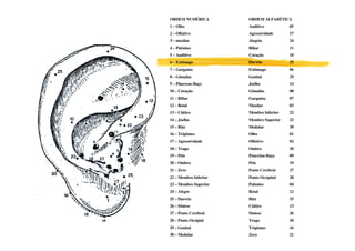 ORDEM NUMÉRICA         ORDEM ALFABÉTICA
1 – Olho               Auditivo          05
2 – Olfativo           Agressividade     17
3 – maxilar            Alegria           24
4 – Pulmões            Biliar            11
5 – Auditivo           Coração           10
6 – Estômago           Darwin            25
7 – Garganta           Estômago          06
8 – Gônadas            Genital           29
9 – Pâncreas-Baço      Joelho            14
10 – Coração           Gônadas           08
11 – Biliar            Garganta          07
12 – Retal             Maxilar           03
13 – Ciático           Membro Inferior   22
14 – Joelho            Membro Superior   23
15 – Rim               Medular           30
16 – Trigêmeo          Olho              01
17 – Agressividade     Olfativo          02
18 – Trago             Ombro             20
19 – Pele              Pancrêas-Baço     09
20 – Ombro             Pele              19
21 – Zero              Ponto Cerebral    27
22 – Membro Inferior   Ponto Occipital   28
23 – Membro Superior   Pulmões           04
24 – Alegre            Retal             12
25 – Darwin            Rim               15
26 – Siniese           Ciático           13
27 – Ponto Cerebral    Sintese           26
28 – Ponto Occipial    Trago             18
29 – Genital           Trigêmeo          16
30 – Medular           Zero              21
 