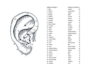 ORDEM NUMÉRICA         ORDEM ALFABÉTICA
1 – Olho               Auditivo          05
2 – Olfativo           Agressividade     17
3 – maxilar            Alegria           24
4 – Pulmões            Biliar            11
5 – Auditivo           Coração           10
6 – Estômago           Darwin            25
7 – Garganta           Estômago          06
8 – Gônadas            Genital           29
9 – Pâncreas-Baço      Joelho            14
10 – Coração           Gônadas           08
11 – Biliar            Garganta          07
12 – Retal             Maxilar           03
13 – Ciático           Membro Inferior   22
14 – Joelho            Membro Superior   23
15 – Rim               Medular           30
16 – Trigêmeo          Olho              01
17 – Agressividade     Olfativo          02
18 – Trago             Ombro             20
19 – Pele              Pancrêas-Baço     09
20 – Ombro             Pele              19
21 – Zero              Ponto Cerebral    27
22 – Membro Inferior   Ponto Occipital   28
23 – Membro Superior   Pulmões           04
24 – Alegre            Retal             12
25 – Darwin            Rim               15
26 – Siniese           Ciático           13
27 – Ponto Cerebral    Sintese           26
28 – Ponto Occipial    Trago             18
29 – Genital           Trigêmeo          16
30 – Medular           Zero              21
 