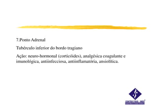 7.Ponto Adrenal
Tubérculo inferior do bordo tragiano
Ação: neuro-hormonal (corticóides), analgésica coagulante e
imunológica, antiinfecciosa, antiinflamatória, ansiolítica.
 