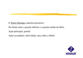 8. Ponto Gônadas (anterior-posterior)
No limite entre a porção inferior e a porção média do hélix.
Ação principal: genital
Ação secundária: afetividade, atua sobre a libido.
 