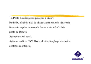15. Ponto Rins (anterior-posterior e linear)
No hélix, nível do eixo da bissetriz que parte do vértice da
fosseta triangular, se entende linearmente até nível do
ponto de Darwin.ponto de Darwin.
Ação principal: renal.
Ação secundária: SNV. Ossos, dentes, função geniturinária,
conflitos da infância.
 