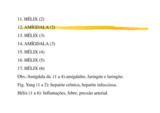 11. HÉLIX (2)
12. AMÍGDALA (2)
13. HÉLIX (3)
14. AMÍGDALA (3)
15. HÉLIX (4)
16. HÉLIX (5)
17. HÉLIX (6)
Obs.:Amígdala da (1 a 4):amígdalite, faringite e laringite.
Fig. Yang (1 a 2): hepatite crônica, hepatite infecciosa.
Hélix (1 a 6): Inflamações, febre, pressão arterial.
 