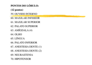 PONTOS DO LÓBULO:PONTOS DO LÓBULO:
(12 pontos)(12 pontos)
59. OUVIDO INTERNO
60. MAXILAR INFERIOR
61. MAXILAR SUPERIOR
62. PALATO SUPERIOR
63. AMÍGDALA (4)
64. OLHO
65. LÍNGUA
66. PALATO INFERIOR
67. ANESTESIA DENTE (1)
68. ANESTESIA DENTE (2)
69. NEURASTENIA
70. HIPOTENSOR
 