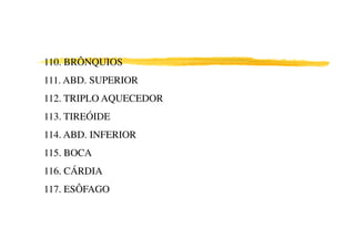 110. BRÔNQUIOS
111. ABD. SUPERIOR
112. TRIPLO AQUECEDOR
113. TIREÓIDE
114. ABD. INFERIOR
115. BOCA
116. CÁRDIA
117. ESÔFAGO
 
