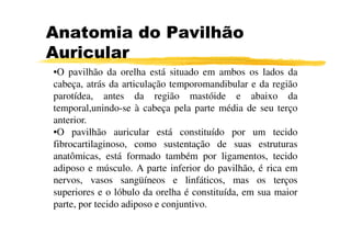 •O pavilhão da orelha está situado em ambos os lados da
cabeça, atrás da articulação temporomandibular e da região
parotídea, antes da região mastóide e abaixo da
temporal,unindo-se à cabeça pela parte média de seu terço
anterior.
Anatomia do Pavilhão
Auricular
anterior.
•O pavilhão auricular está constituído por um tecido
fibrocartilaginoso, como sustentação de suas estruturas
anatômicas, está formado também por ligamentos, tecido
adiposo e músculo. A parte inferior do pavilhão, é rica em
nervos, vasos sangüíneos e linfáticos, mas os terços
superiores e o lóbulo da orelha é constituída, em sua maior
parte, por tecido adiposo e conjuntivo.
 