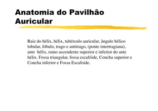 Anatomia do Pavilhão
Auricular
Raiz do hélix, hélix, tubérculo auricular, ângulo hélico
lobular, lóbulo, trago e antitrago, (ponte intertragiana),
ante hélix, ramo ascendente superior e inferior do ante
hélix. Fossa triangular, fossa escafóide, Concha superior ehélix. Fossa triangular, fossa escafóide, Concha superior e
Concha inferior e Fossa Escafoide.
 