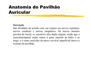 Anatomia do Pavilhão
Auricular
Inervação
São divididos de acordo com sua origem em nervos espinhais,
nervos cerebrais e nervos simpáticos. Os nervos motoresnervos cerebrais e nervos simpáticos. Os nervos motores
provêm do facial, os sensitivos têm dupla origem, sendo que o
auriculotemporal emite ramos à parte anterior do hélix e ao
trago, e o ramo auricular do plexo cervical superficial inerva o
restante do pavilhão.
 