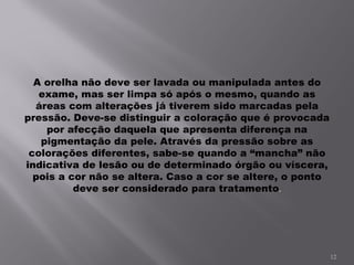 A orelha não deve ser lavada ou manipulada antes do exame, mas ser limpa só após o mesmo, quando as áreas com alterações já tiverem sido marcadas pela pressão. Deve-se distinguir a coloração que é provocada por afecção daquela que apresenta diferença na pigmentação da pele. Através da pressão sobre as colorações diferentes, sabe-se quando a “mancha” não indicativa de lesão ou de determinado órgão ou víscera, pois a cor não se altera. Caso a cor se altere, o ponto deve ser considerado para tratamento . 