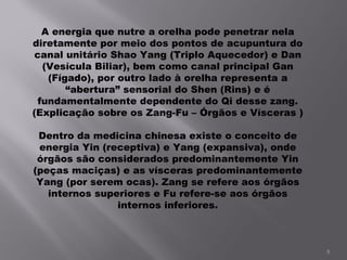 A energia que nutre a orelha pode penetrar nela diretamente por meio dos pontos de acupuntura do canal unitário Shao Yang (Triplo Aquecedor) e Dan (Vesícula Biliar), bem como canal principal Gan (Fígado), por outro lado à orelha representa a “abertura” sensorial do Shen (Rins) e é fundamentalmente dependente do Qi desse zang. (Explicação sobre os Zang-Fu – Órgãos e Vísceras )   Dentro da medicina chinesa existe o conceito de energia Yin (receptiva) e Yang (expansiva), onde órgãos são considerados predominantemente Yin (peças maciças) e as vísceras predominantemente Yang (por serem ocas). Zang se refere aos órgãos internos superiores e Fu refere-se aos órgãos internos inferiores.     