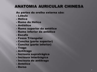 As partes da orelha externa são: - Lóbulo - Hélice - Ramo da Hélice - Antiélice - Ramo superior da antélice - Ramo inferior da antélice - Escafa - Fossa Triangular - Concha (parte superior) - Concha (parte inferior) - Trago - Antítrago - Incisura supratrágica - Incisura intertrágica - Incisura do antítrago - Antélice - Dorso 