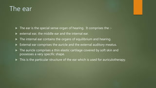The ear
 The ear is the special sense organ of hearing. It comprises the :-
 external ear, the middle ear and the internal ear.
 The internal ear contains the organs of equilibrium and hearing.
 External ear comprises the auricle and the external auditory meatus.
 The auricle comprises a thin elastic cartilage covered by soft skin and
possesses a very specific shape.
 This is the particular structure of the ear which is used for auriculotherapy.
 